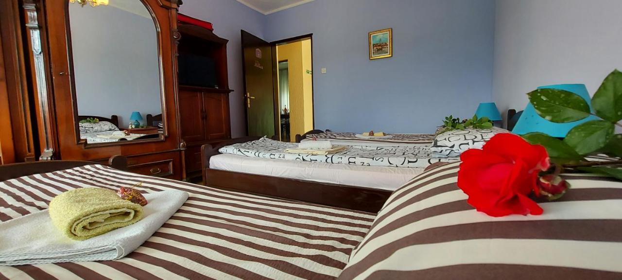Guest House Dunavski Raj Kostol Buitenkant foto