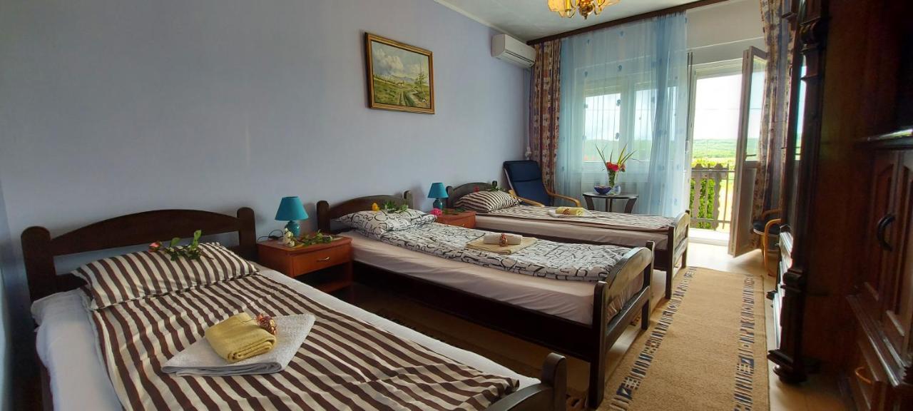 Guest House Dunavski Raj Kostol Buitenkant foto