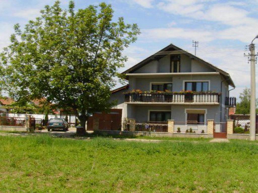 Guest House Dunavski Raj Kostol Buitenkant foto